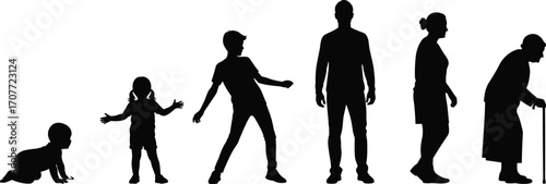 Silhouette Life Stages Illustration Human Aging Process & Generational Development Concept Vector