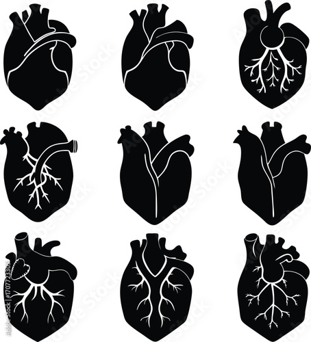 Black Heart Silhouettes: Anatomical Illustrations, Vector Art, Medical