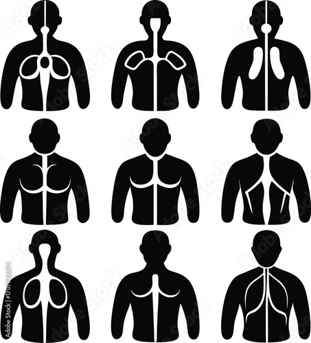 Human Anatomy Icons: Respiratory, Circulatory, and Body Systems