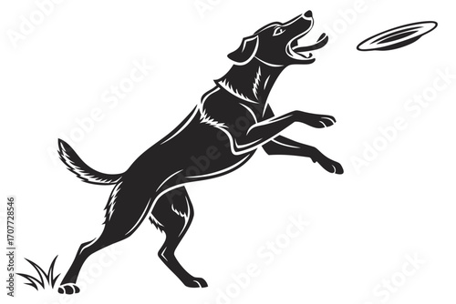 Black dog jumping to catch frisbee.