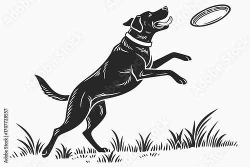 Black dog jumping to catch frisbee in grass.