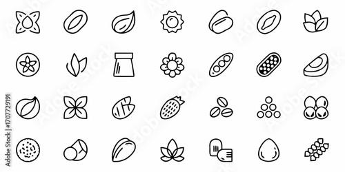 Vibrant collection of natural food icons and botanical elements, showcasing organic seeds, fruits, and plant motifs for healthy living and wellness branding