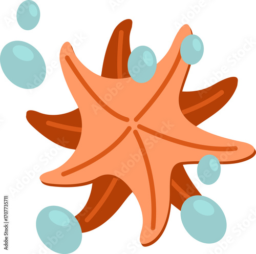 Starfish with Sea Bubbles