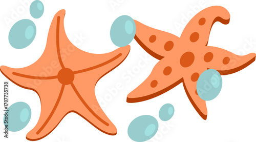 Starfish with Sea Bubbles