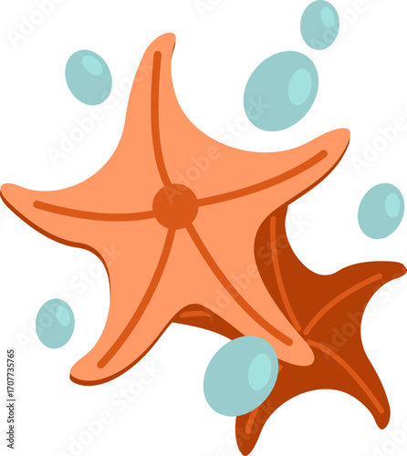 Starfish with Sea Bubbles