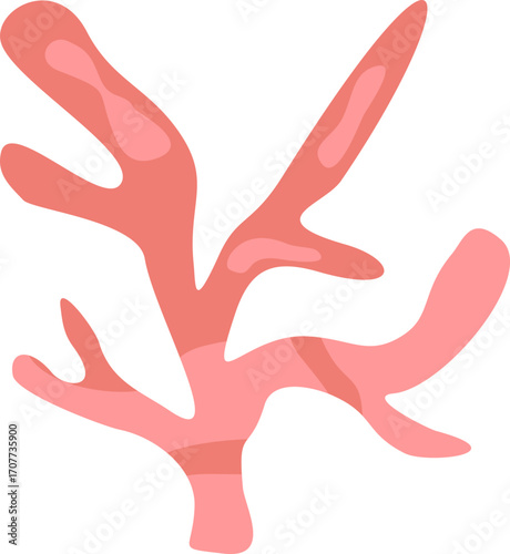 Cute Coral
