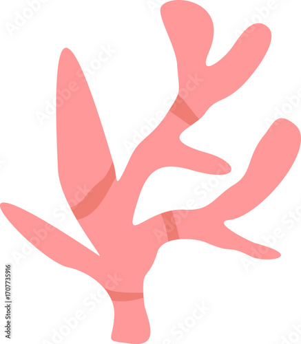 Cute Coral