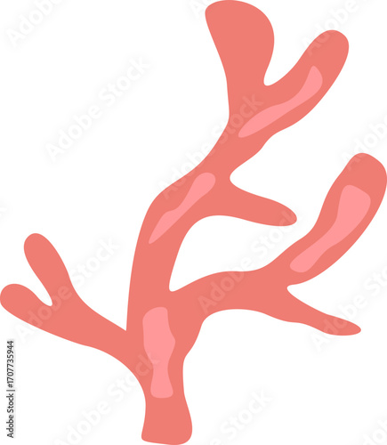 Cute Coral