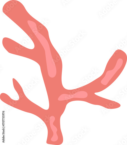 Cute Coral