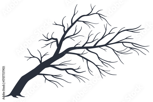 Silhouette of a Bare Tree Branch Silhouette.