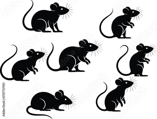 Set of black mouse silhouettes in various poses, rat vector illustration, rodent animal icon design, wildlife clipart for graphics