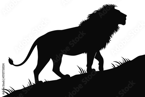 Silhouette of a majestic lion walking on a grassy hill.