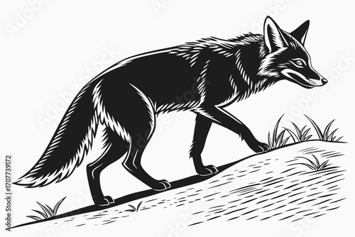 Stylized Black Wolf Walking on Grassy Hill.
