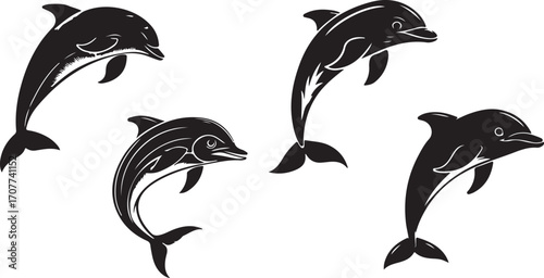 dolphin illustration vector, marine animal graphics, sea life symbols, aquatic creature design, dolphin silhouette pack, black white dolphin icons, ocean life graphics, marine wildlife symbols, aquati