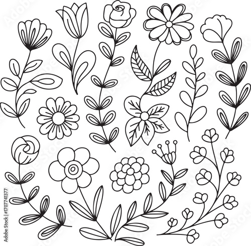 Hand-Drawn Floral Doodle Elements Set