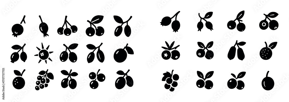 Obraz premium Twelve Wild Fruits Icons