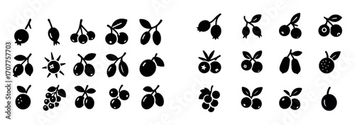 Twelve Wild Fruits Icons