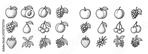 Temperate Fruit Icons