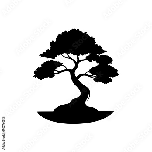 Silhouette of a bonsai tree in black color on transparent background