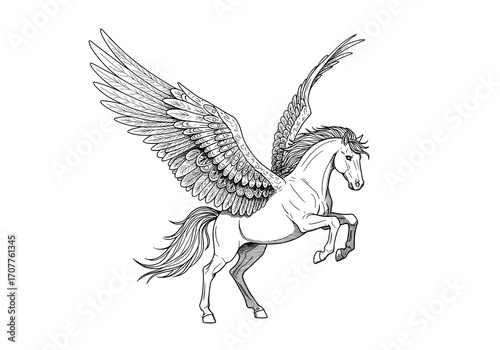 Pegasus rearing with wings spread
