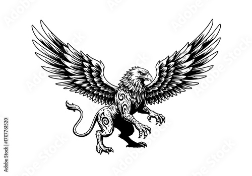 Griffin Illustration