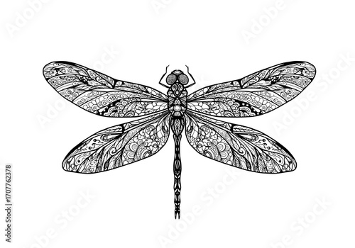 Ornate Dragonfly Illustration