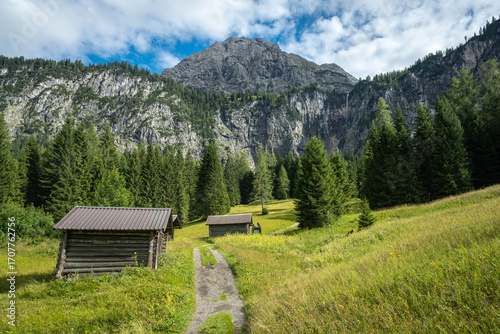 Weg über Wiese in Tirol bei Ehrwald mit Hütten und Bäume