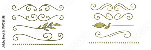 Elegant decorative dividers with flourishes, swirls, and natural leaf elements for design projects and text separation