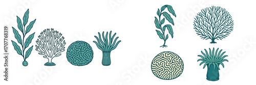 Stylized diverse marine flora and coral reef organisms in various shapes and forms for aquatic themes