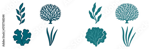 Diverse collection of stylized marine flora and aquatic plant elements set for ocean life themes and underwater designs