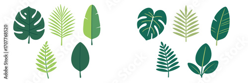 Stylized collection of tropical jungle leaves in various shapes and shades of green on a clean white background
