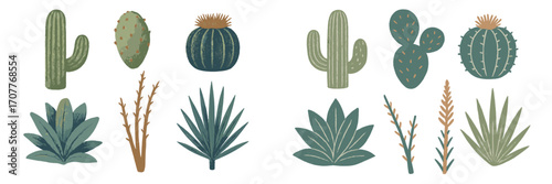 Stylized desert plants collection showcasing various cacti, succulents, and arid flora including prickly pear, barrel, and saguaro cactus species