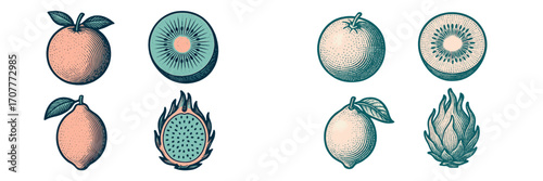 Variety of fresh organic whole and sliced tropical and citrus fruits with leaves and vintage engraved texture
