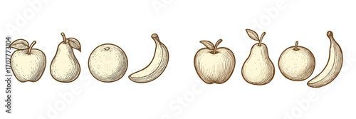 Healthy organic fruits assortment featuring apples pears oranges and bananas in a classic hand drawn engraved style