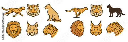 Diverse collection of wild feline animals including cheetah, tiger, lion, lynx, leopard, and puma in various poses and headshots