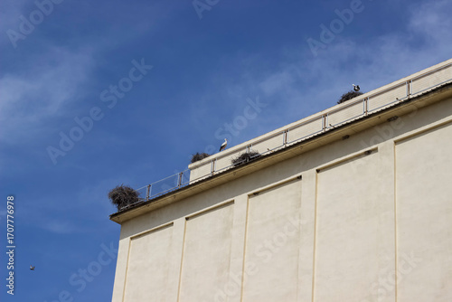 the roof of a building with stork nests