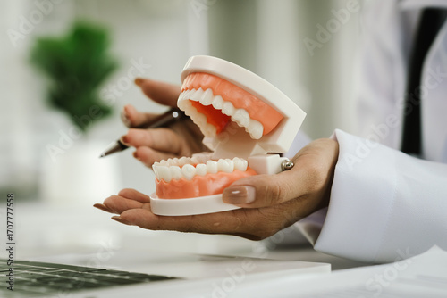 A dentist holds a dental model, demonstrating oral health, teeth structure, hygiene, and dental care for patient education and treatment guidance.
