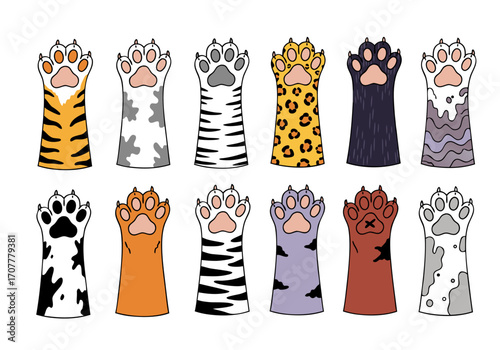 Cute Cat Paws Illustrations 12 Unique Designs