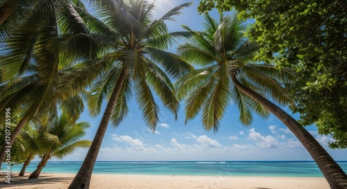 Fototapeta Naklejka Na Ścianę i Meble -  Tropical beach framed by palm trees