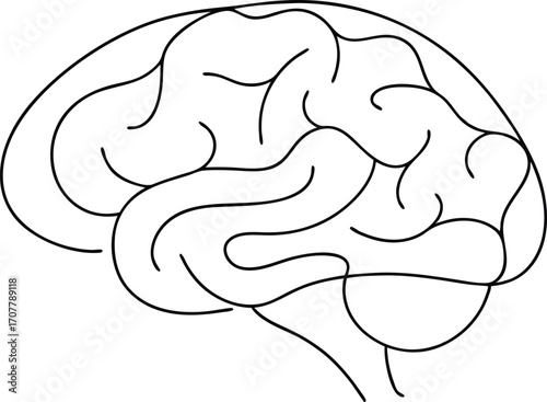 Brain Single Line Art Graphic, Human Brain Continuous Line Drawing