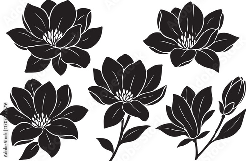 Black Blossom Silhouette: A striking monochromatic illustration showcases several exquisite silhouettes of blossoms, embodying natural beauty, delicate detail, and artistic contrast. 