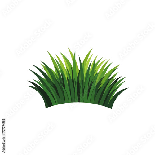Fresh green grass illustration isolated on a white background, perfect for design elements