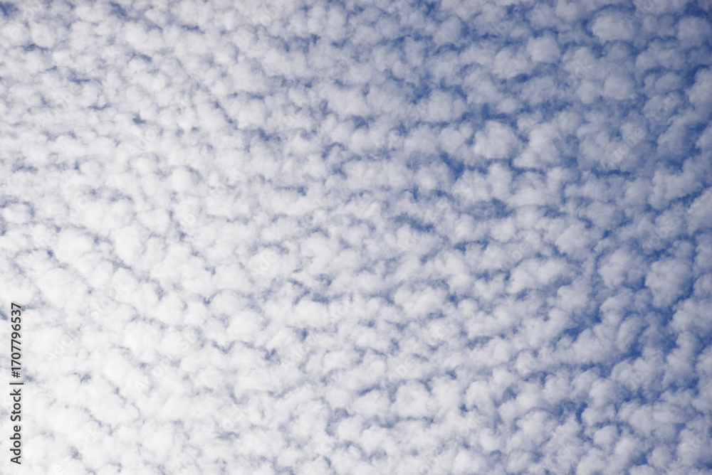 Obraz premium blue sky covered with small white clouds