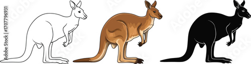 Three kangaroos in line art, color, and silhouette styles
