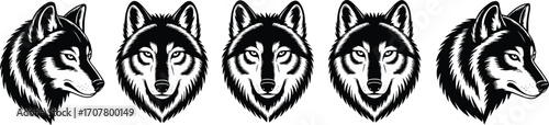 Stylized, black, and, white, wolf, head, illustrations, symmetrical, animal, design, tribal, graphic, wildlife, tattoo, art, predator, sketch, frontal, profile, fierce