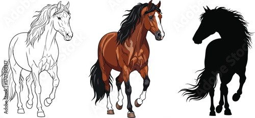 Horse evolution stages illustration from sketch to color to silhouette showing animal transformation