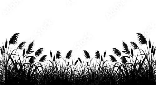 Silhouette illustration of cattails and reeds growing in a wetland or marsh environment, creating a natural border or frame.