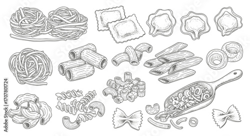 A detailed line art illustration showcasing various types of pasta, including tagliatelle nests, ravioli, rigatoni, penne, farfalle, and other shapes, displa...