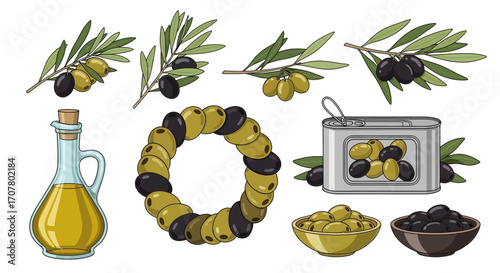 Illustration featuring olive branches, green and black olives, olive oil in a glass bottle, a wreath, and olives in a can and bowls.