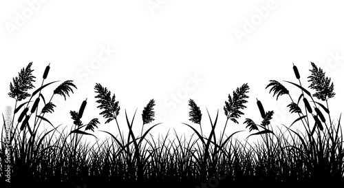 Silhouette illustration of tall grass and reeds against a white background, creating a symmetrical, natural border.